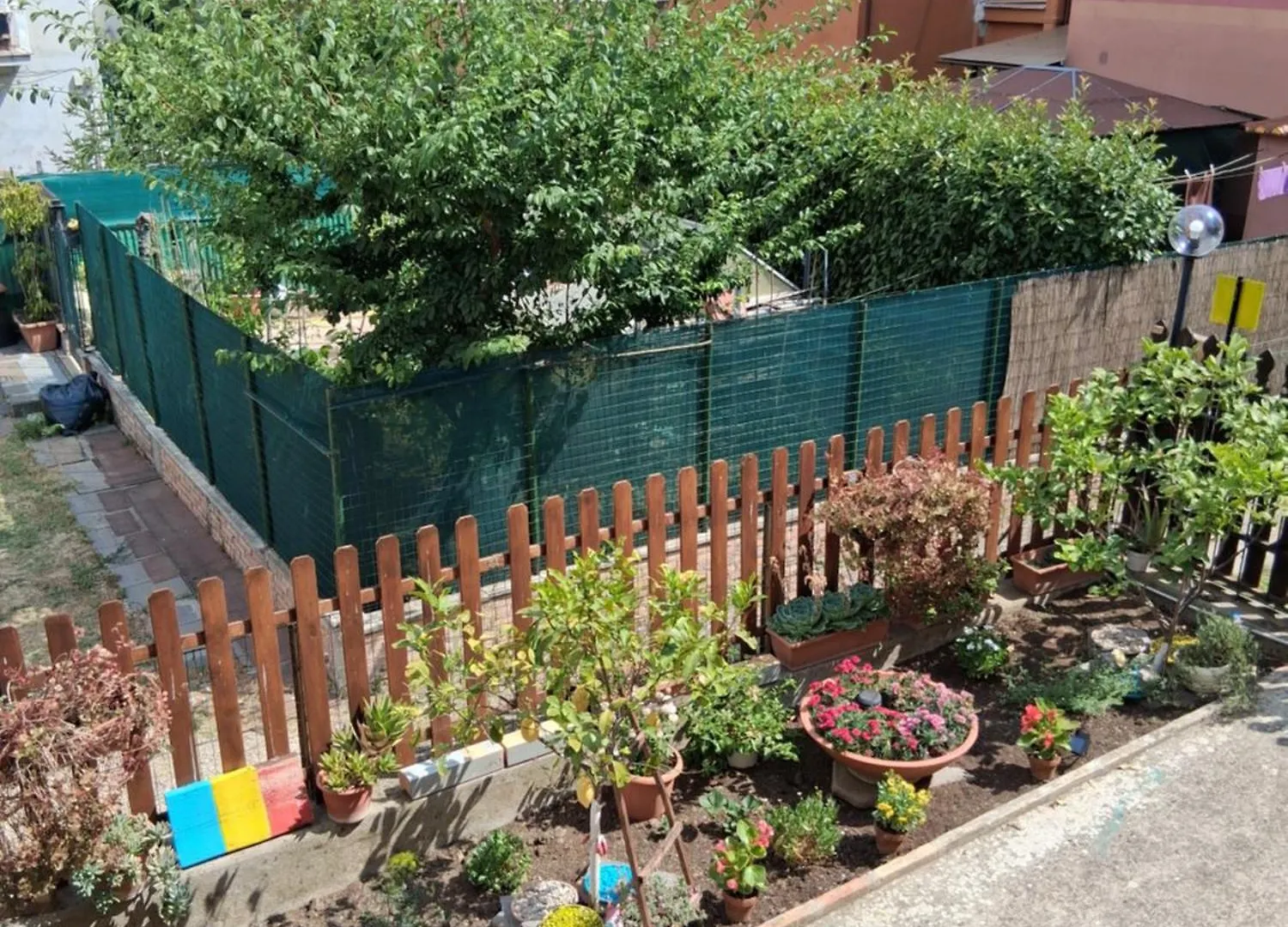 Lemon Garden Home Rom
