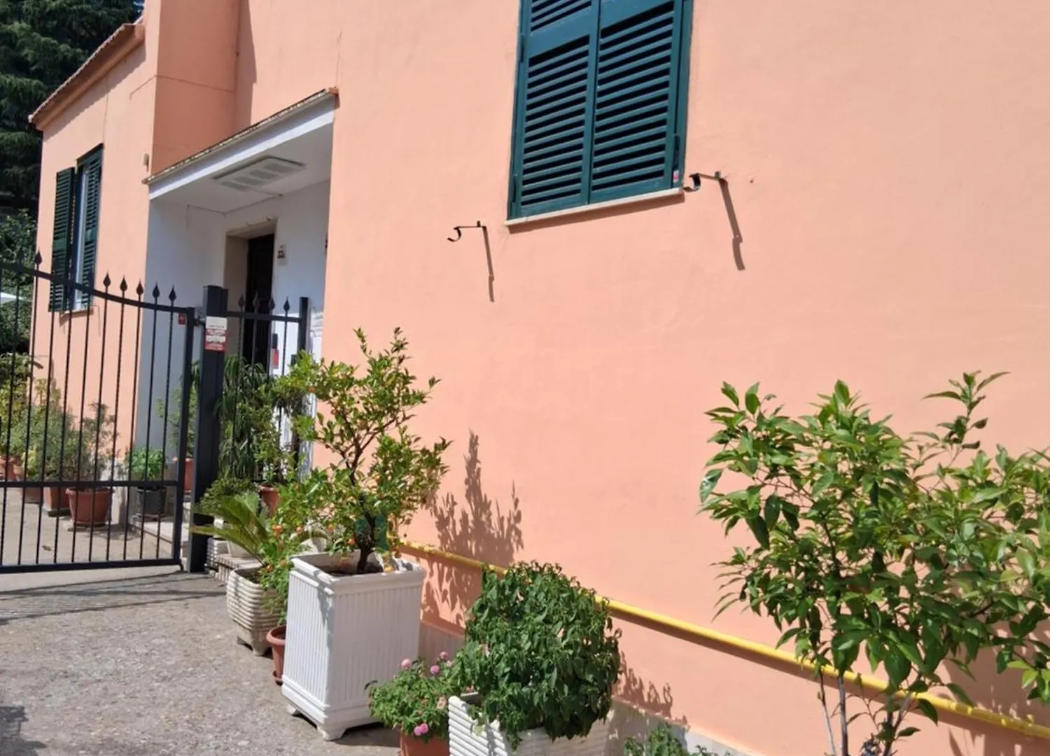Lemon Garden Home Rom